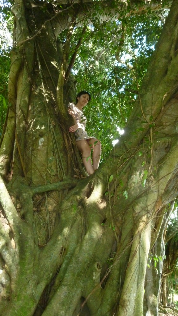 Climbing a Tree