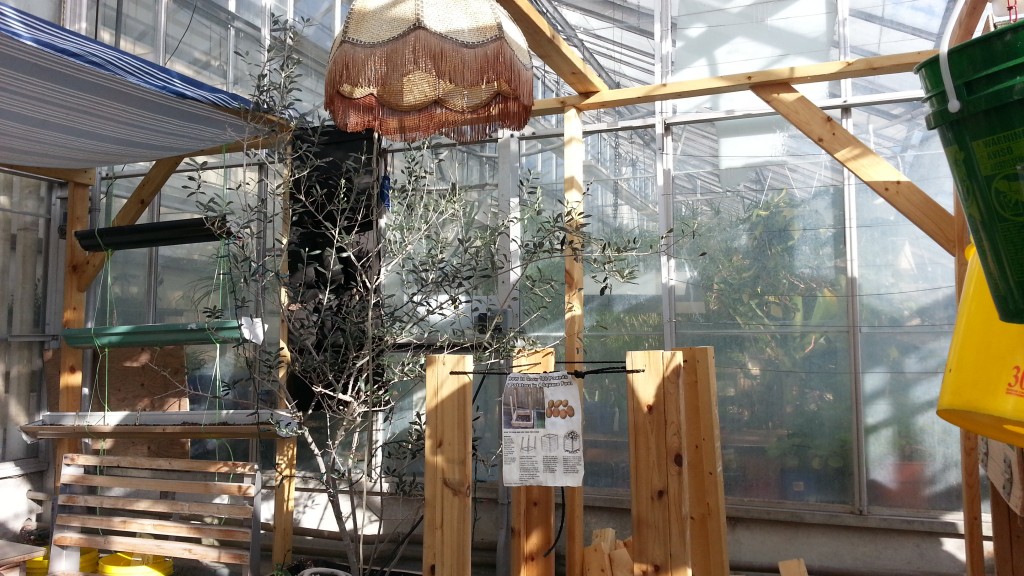 Concordia Greenhouse