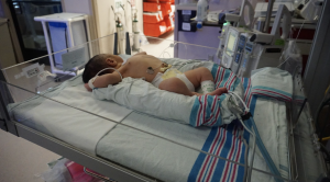 Screen Shot 2019-06-11 at 2.06.17 PM